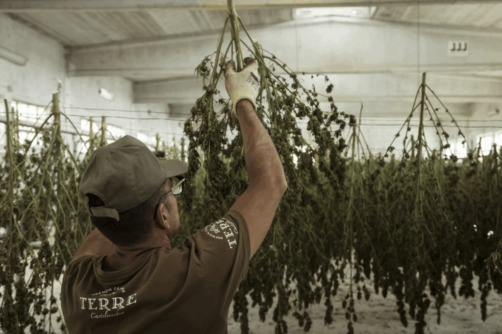 Pros and Cons of Hanging Individual Branches